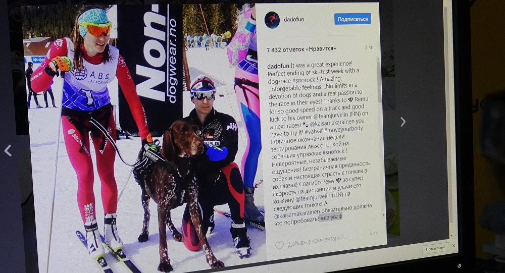 #вафваф: Домрачева посоветовала Макарайнен гонки на собачьих упряжках