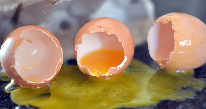 РФ подтвердила безопасность белорусских куриных яиц